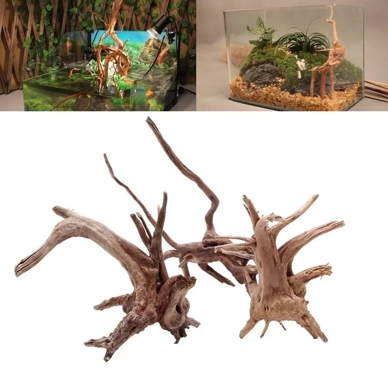 Live Plant Aquarium - شجرة طبيعية جذع Driftwood لحوض السمك