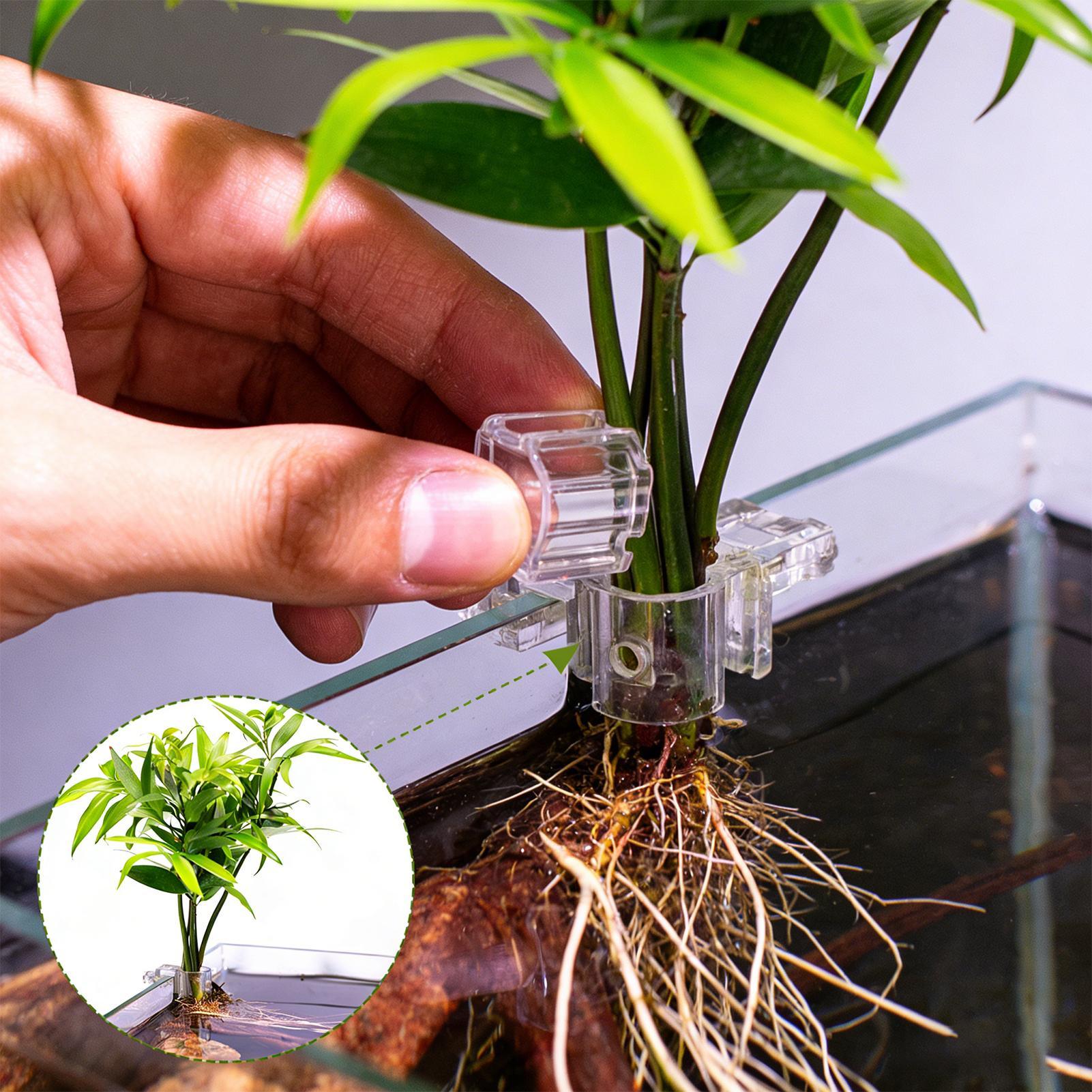 Aquarium Plants Live - 6 قطع حاملات نباتات للأحواض المائية،