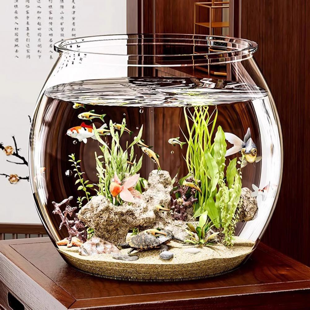 Plant Aquarium Pot - وعاء سمك مستدير من البلاستيك الشفاف