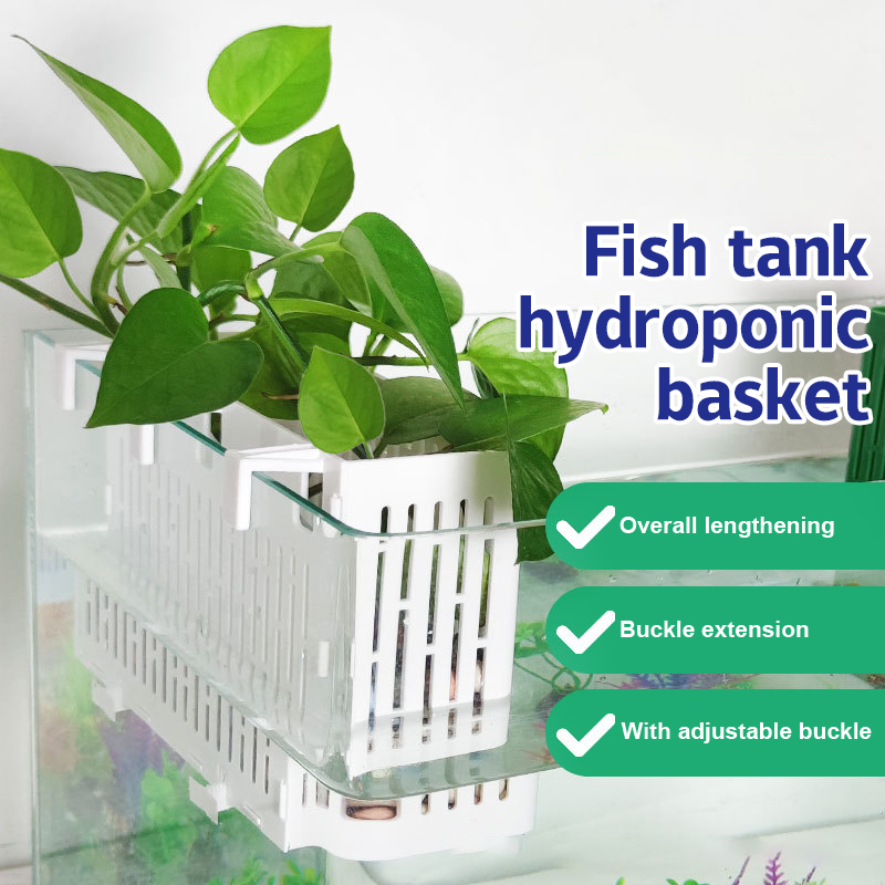 Aquarium Plant Substrate - حامل نباتات مائية معلق لحوض السمك،