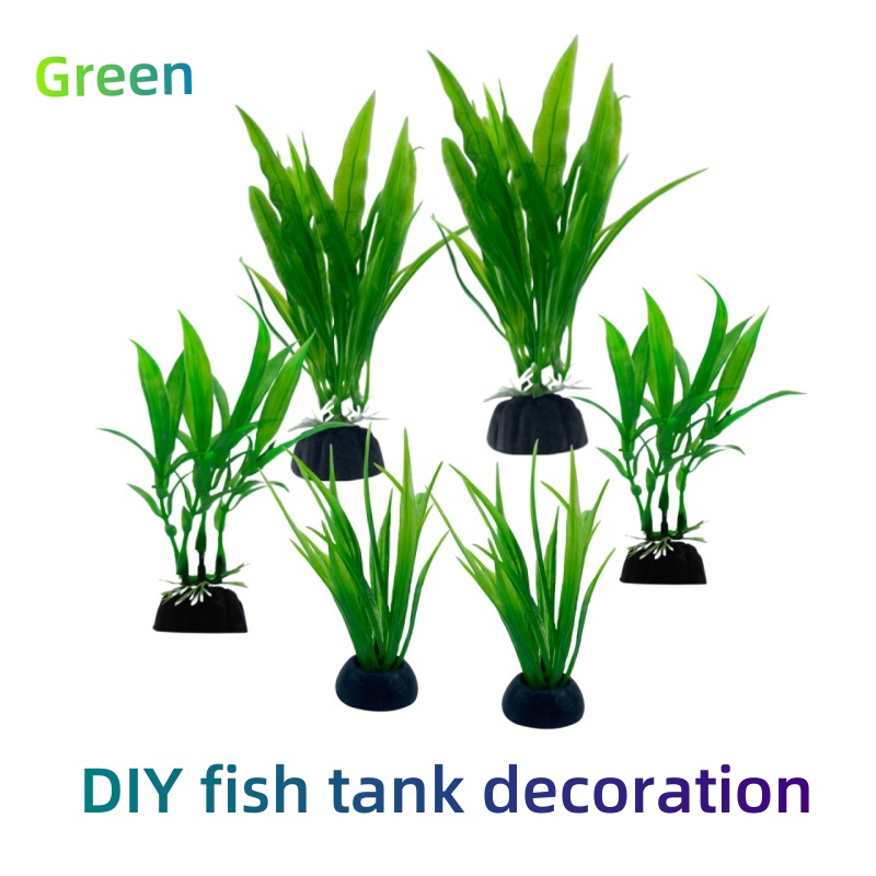 Live Plant Aquarium - 6 قطع من نباتات حوض السمك،