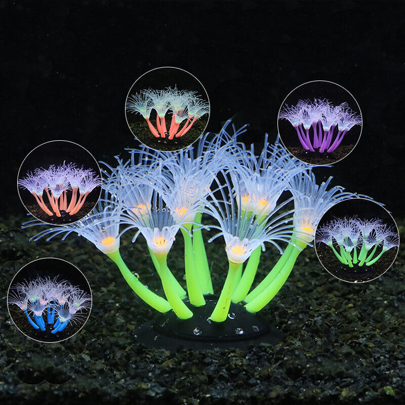 ديكور حوض السمك الاصطناعي المض - مراجعة Live Plant Aquarium وسعره