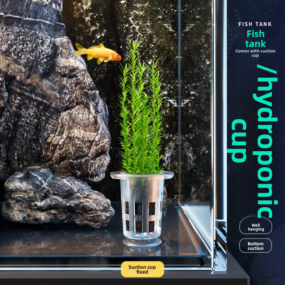 10 قطع من أواني الزراعة المائي - مراجعة Plant Aquarium Pot وسعره