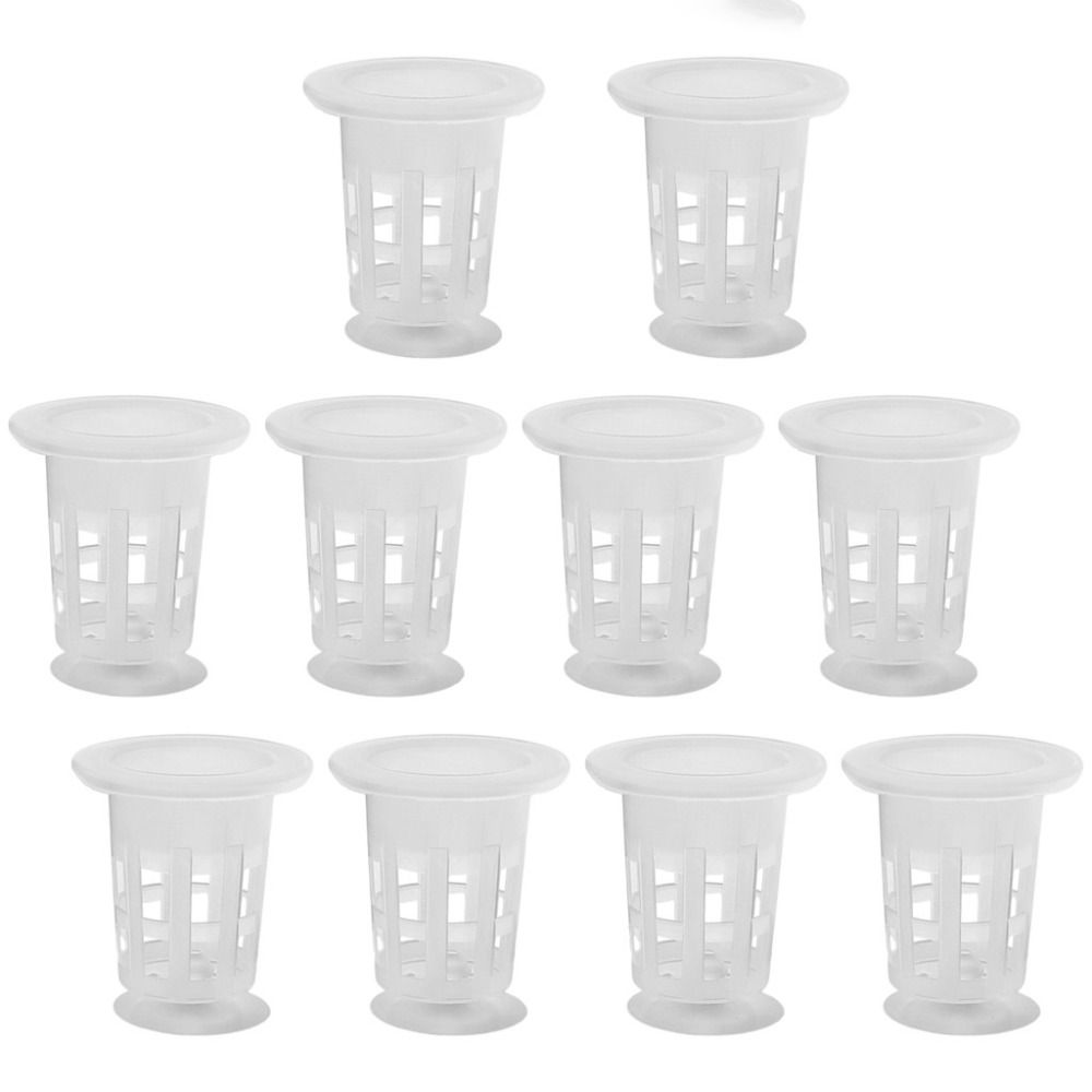 10 قطع من أواني الزراعة المائي - مراجعة Plant Aquarium Pot وسعره