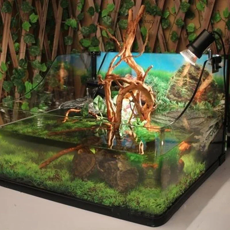 شجرة طبيعية جذع Driftwood لحوض - مراجعة Live Plant Aquarium وسعره