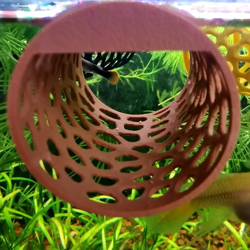 نفق عائم للبيتا، بيت للروبيان، - مراجعة Aquarium Plants Live وسعره