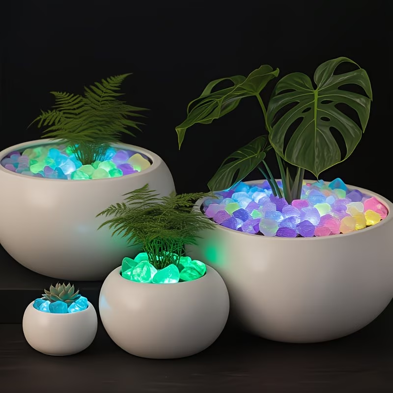 مجموعة 300 قطعة من الحصى المضي - مراجعة Plant Aquarium Pot وسعره