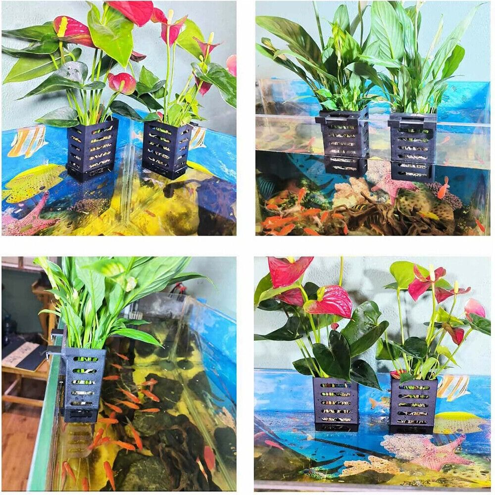 حامل نبات خزان الأسماك مع خطاف - مراجعة Aquarium Plant Holder وسعره