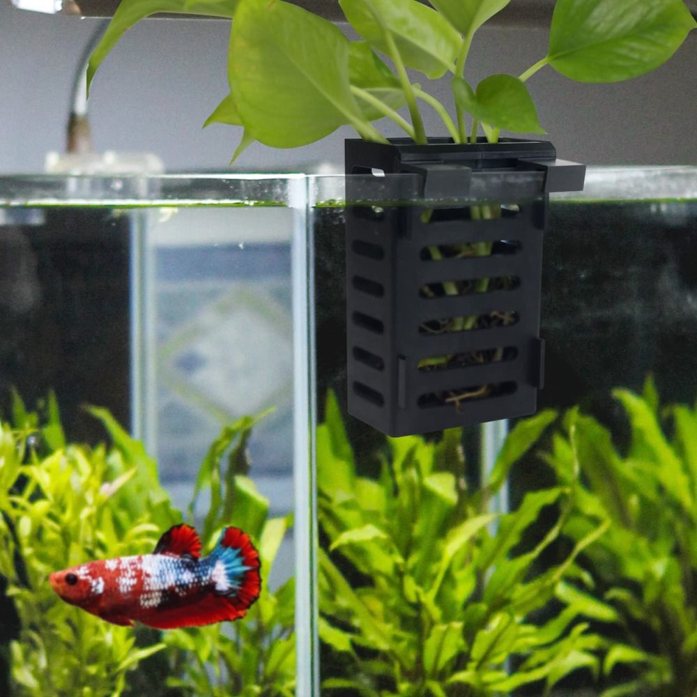 حامل نبات خزان الأسماك مع خطاف - مراجعة Aquarium Plant Holder وسعره