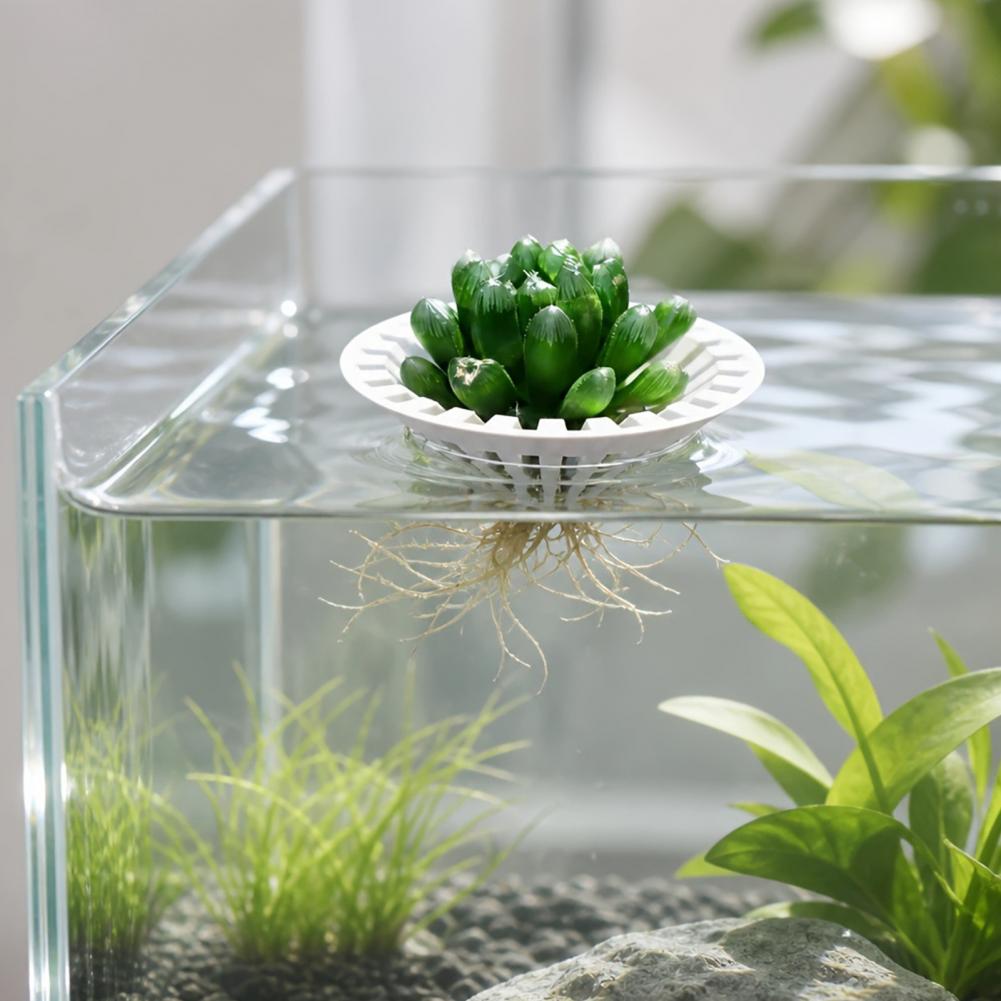 حامل نباتات عائم مطبوع بتقنية  - مراجعة Aquarium Plant Holder وسعره