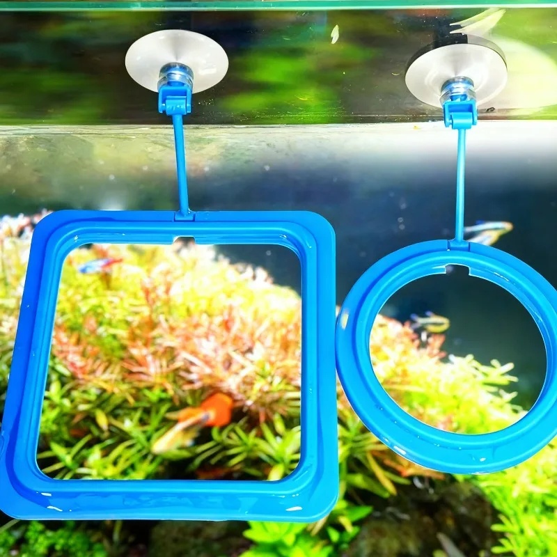 حلقة تغذية حوض السمك، صينية طع - مراجعة Aquarium Fertilizer وسعره