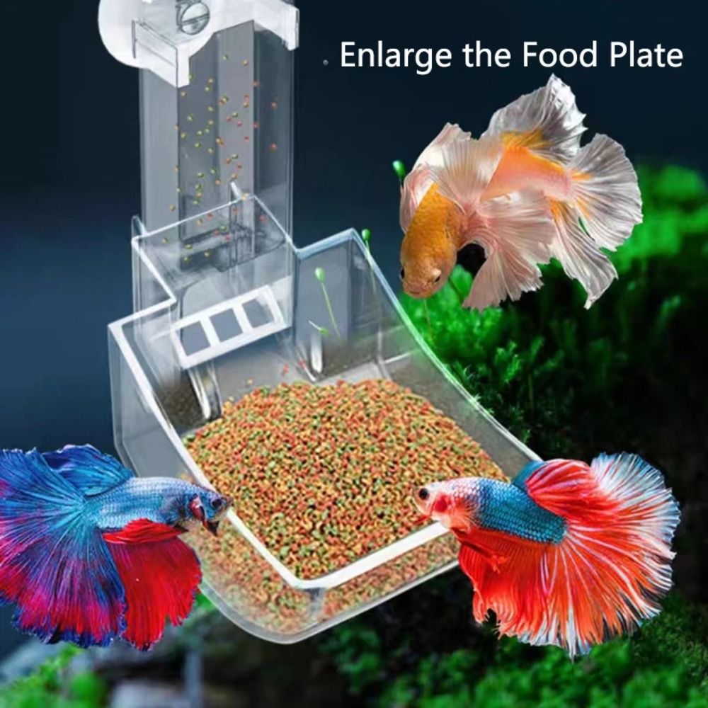 جديد شفاف حوض للأسماك أنبوب ال - مراجعة Aquarium Fertilizer وسعره