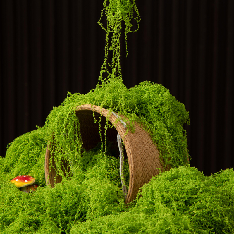 عشب الحياة الأبدية 200 جرام، ن - مراجعة Aquarium Moss وسعره
