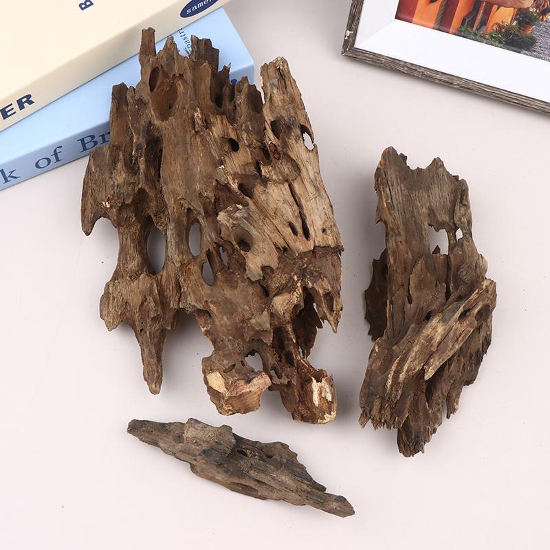 ديكور خشبي لحوض السمك، خشب طاف - مراجعة Aquarium Driftwood وسعره