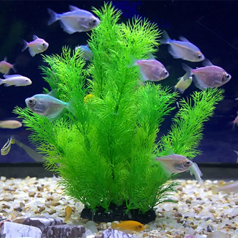 نباتات ديكور حوض السمك الاصطنا - مراجعة Aquarium Plant Substrate وسعره