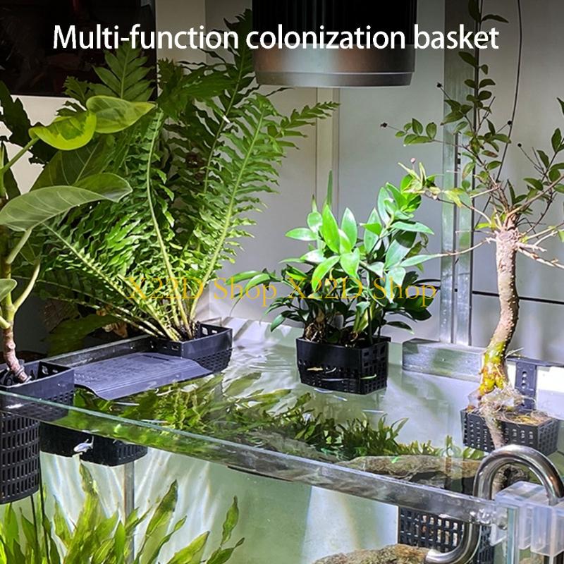 X22D الأنماط القديمة الحديثة ح - مراجعة Aquarium Plant Holder وسعره