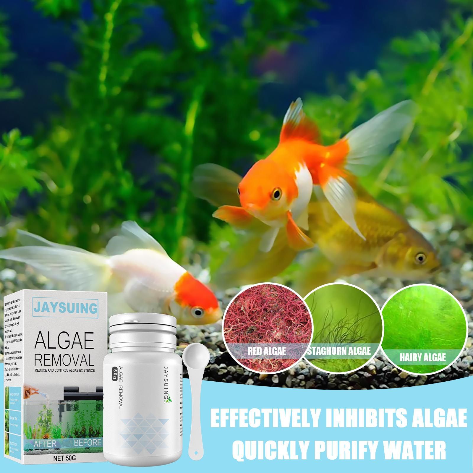 مسحوق إزالة الطحالب من أحواض ا - مراجعة Aquarium Moss وسعره