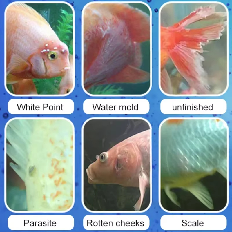 علاج أمراض السمك من سيكيزان وا - مراجعة Aquarium Fertilizer وسعره