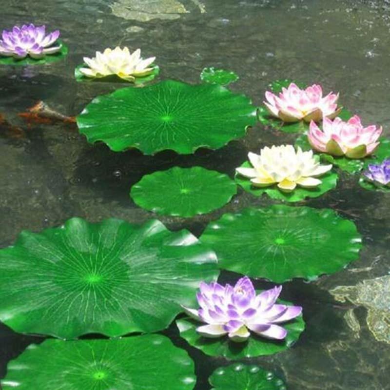 أوراق زنبق الماء الاصطناعية 20 - مراجعة Aquarium Plant Substrate وسعره