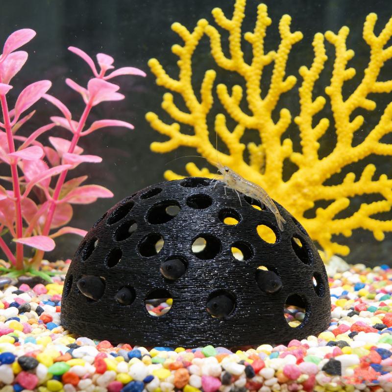 غرفة مخفية لحوض السمك للأسماك  - مراجعة Aquarium Plants Live وسعره