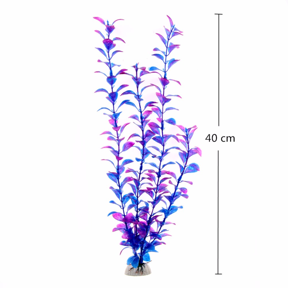 إكسسوارات حوض السمك، نباتات اص - مراجعة Live Plant Aquarium وسعره