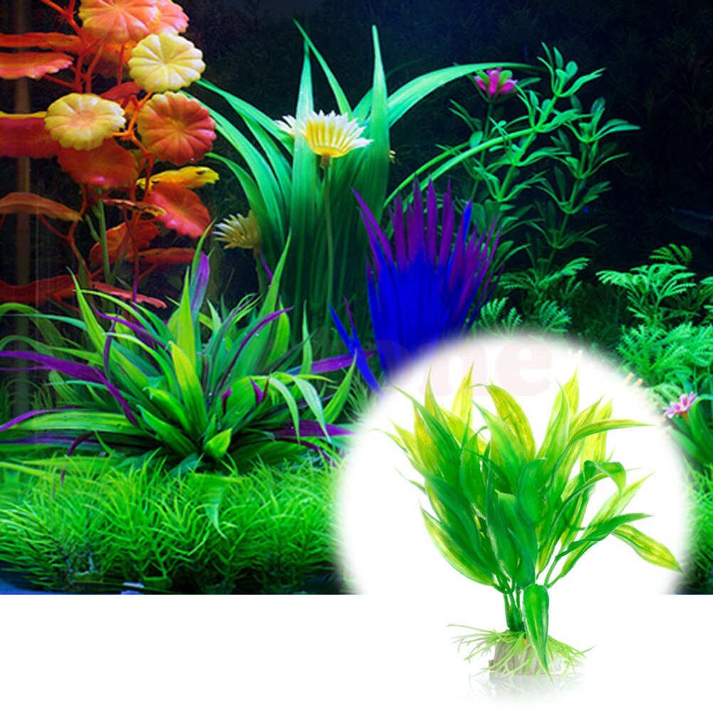 15 سنتيمتر حوض السمك الاصطناعي - مراجعة Live Plant Aquarium وسعره
