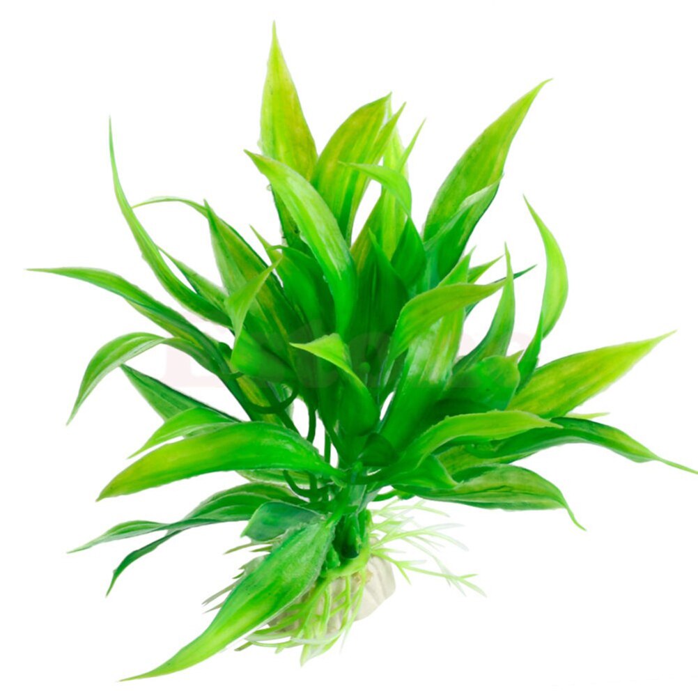 15 سنتيمتر حوض السمك الاصطناعي - مراجعة Live Plant Aquarium وسعره