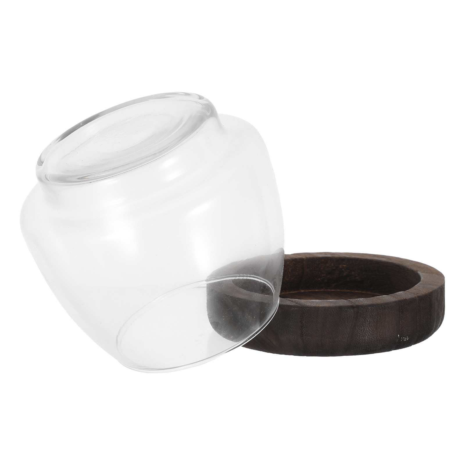 حامل نباتات زجاجي دائري للزراع - مراجعة Aquarium Plant Holder وسعره