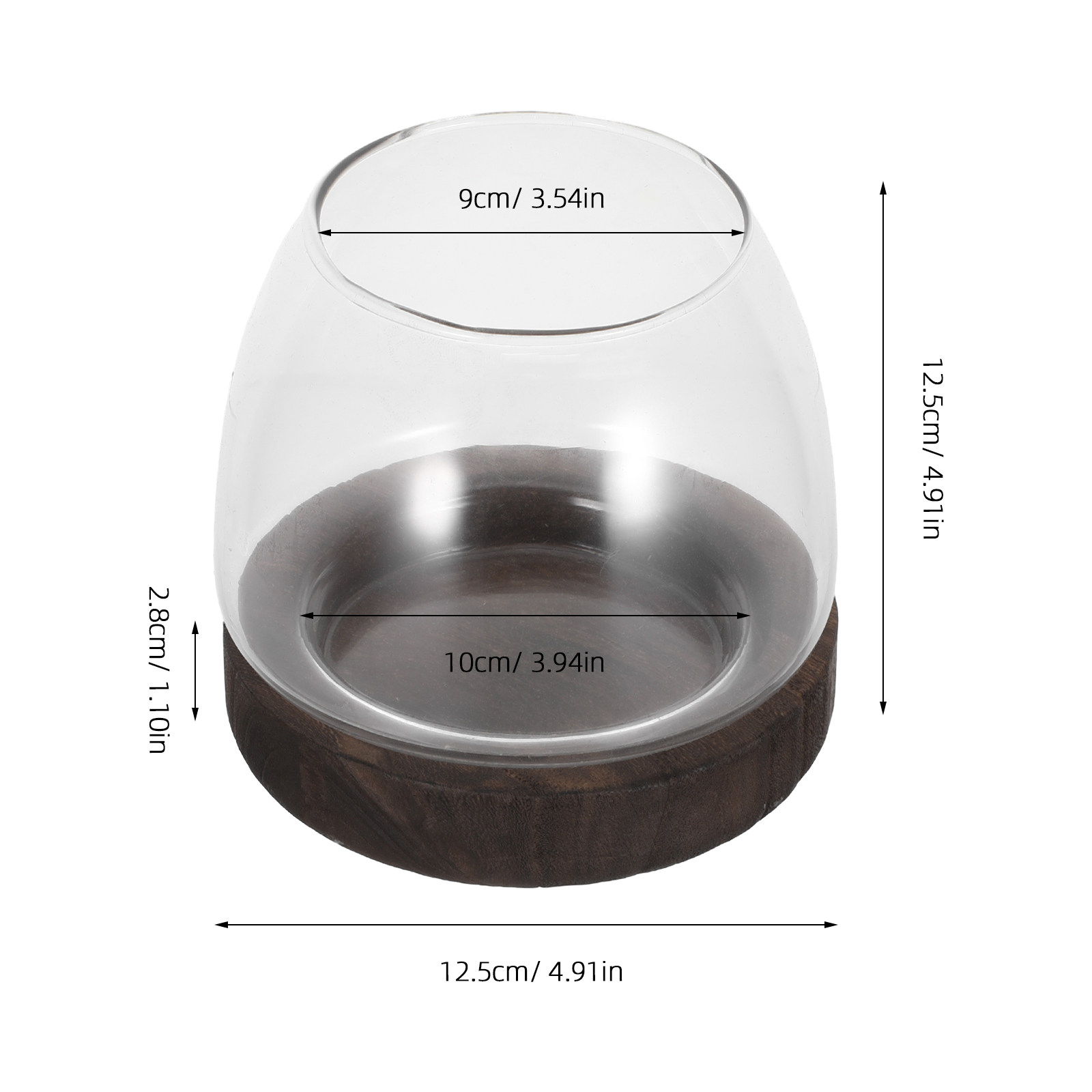 حامل نباتات زجاجي دائري للزراع - مراجعة Aquarium Plant Holder وسعره