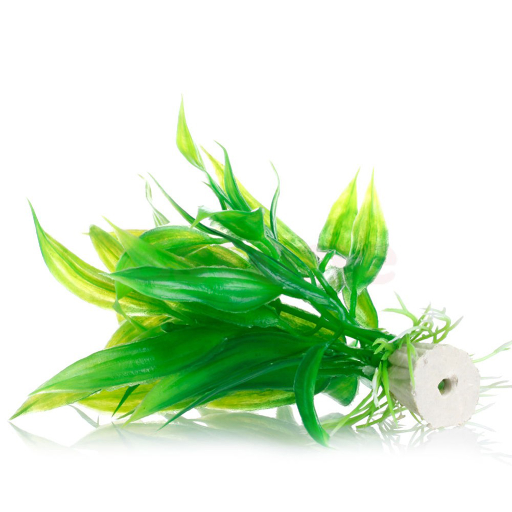 15 سنتيمتر/10 سنتيمتر تحت الما - مراجعة Live Plant Aquarium وسعره