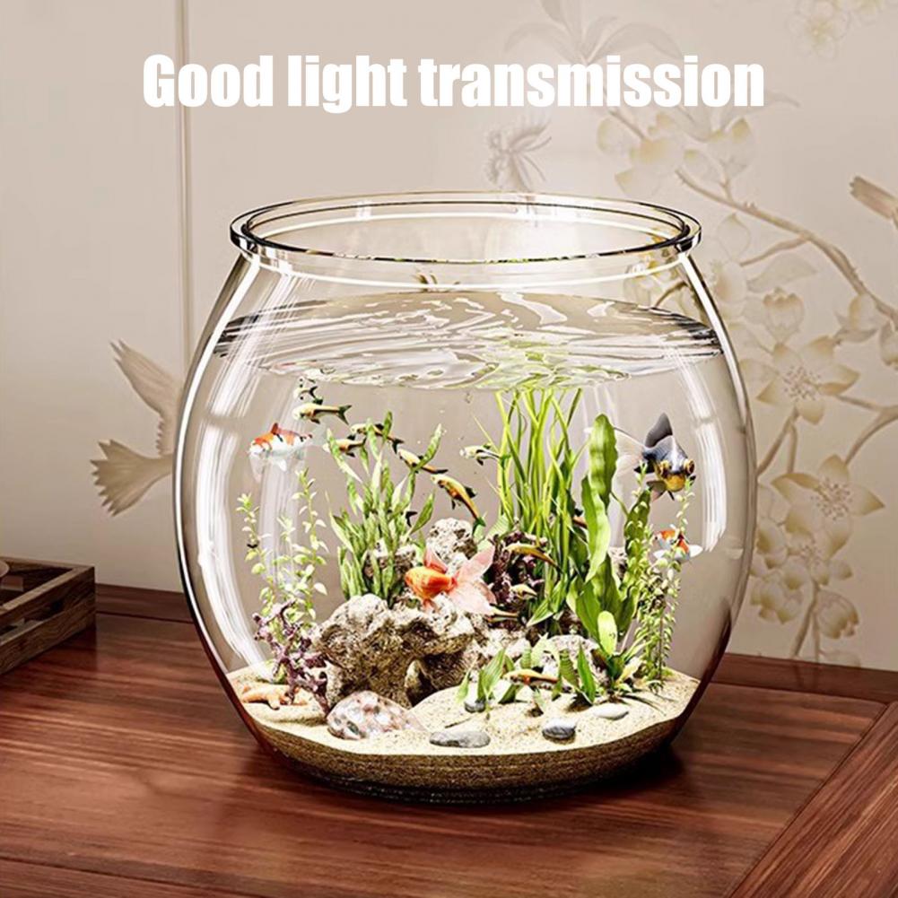 وعاء سمك مستدير من البلاستيك ا - مراجعة Plant Aquarium Pot وسعره