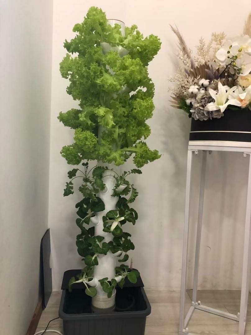 برج زراعة عمودي هيدروبوني للنب - مراجعة Planted Tank وسعره