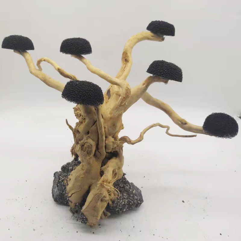 حوض السمك Driftwood المناظر ال - مراجعة Aquarium Plant Substrate وسعره