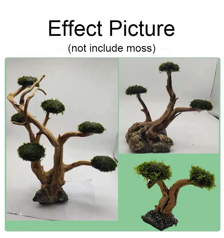 حوض السمك Driftwood المناظر ال - مراجعة Aquarium Plant Substrate وسعره