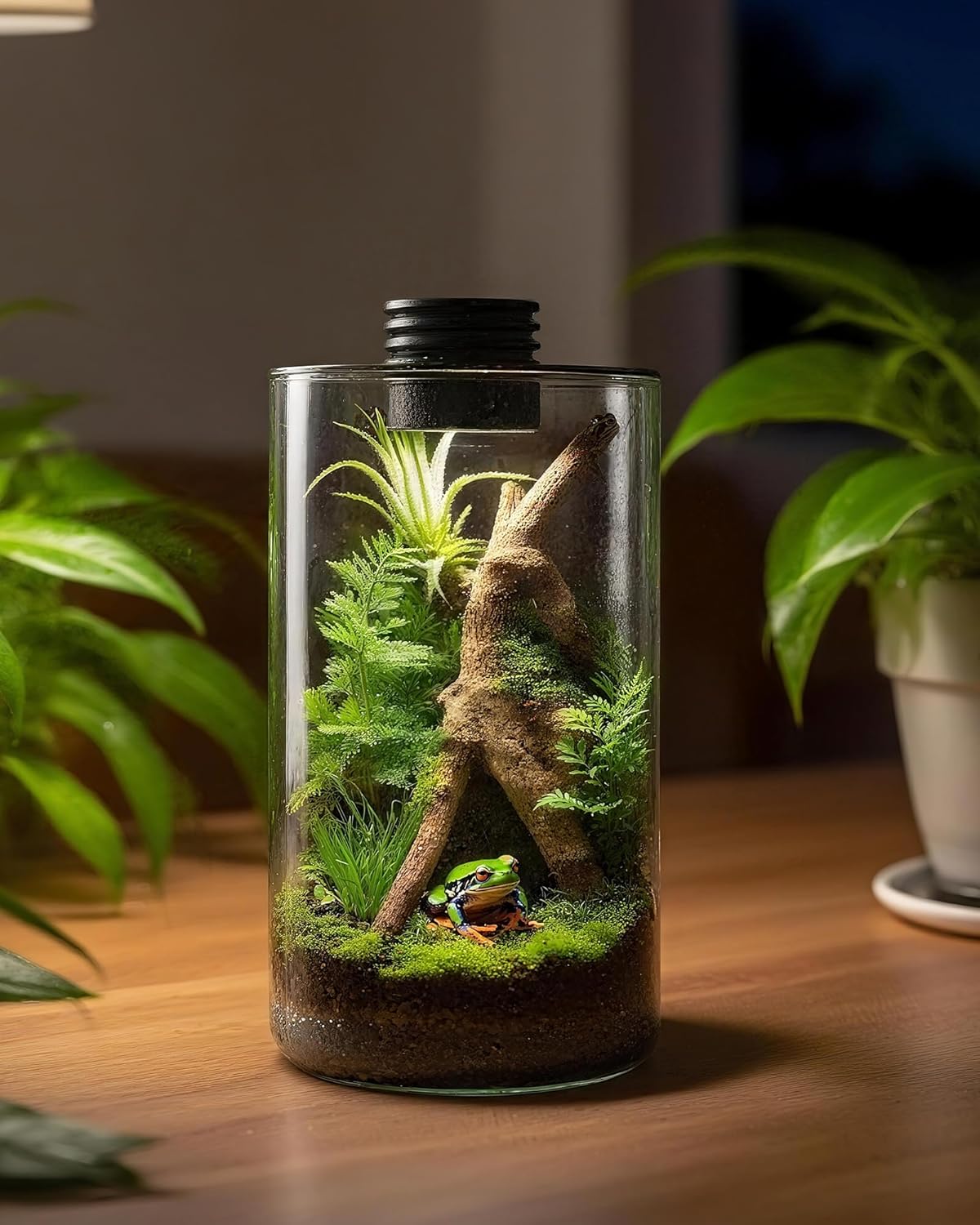 حوض زجاجي داخلي مع إضاءة نمو ا - مراجعة Planted Tank وسعره