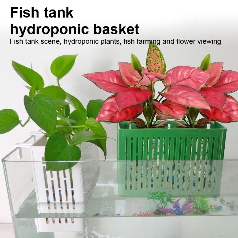حامل نباتات مائية معلق لحوض ال - مراجعة Aquarium Plant Substrate وسعره