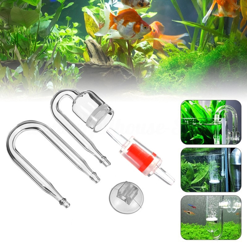 ناشر CO2 لحوض السمك ، خزان زجا - مراجعة Live Plant Aquarium وسعره