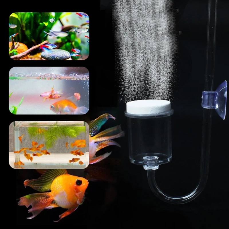 ناشر CO2 لحوض السمك ، خزان زجا - مراجعة Live Plant Aquarium وسعره