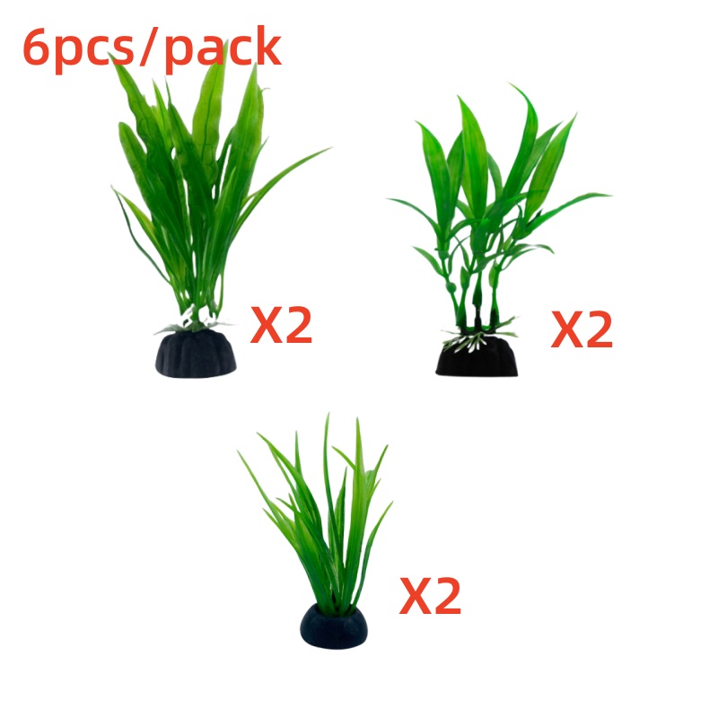 6 قطع من نباتات حوض السمك، ديك - مراجعة Live Plant Aquarium وسعره